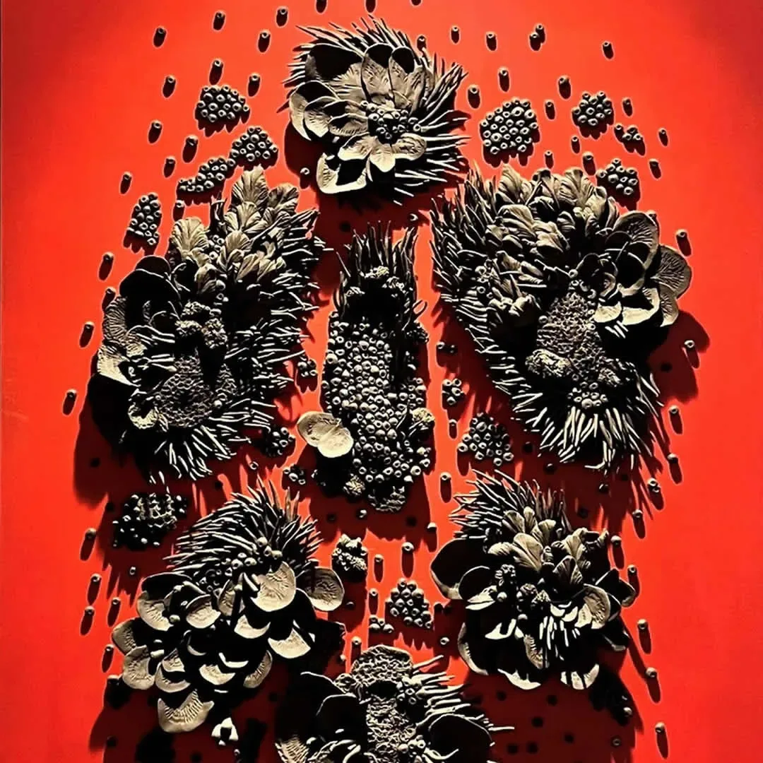 ELİF NURAN YAŞAROL — kapak