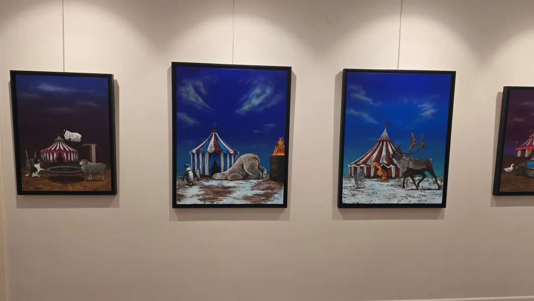 EMİRHAN CANDAN — sergiden görünüm