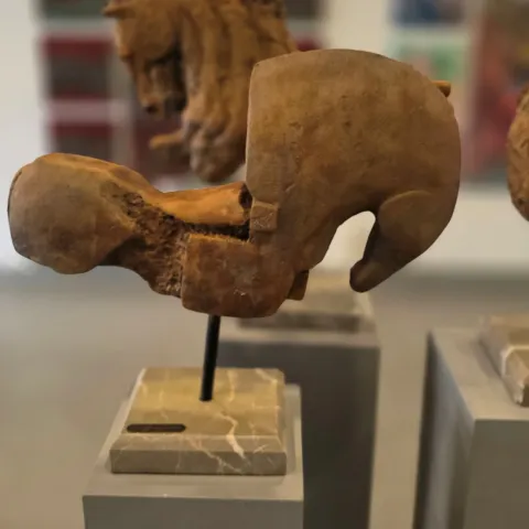 CEM GÜNEY ÇEVİKBAŞ — “Likya'nın atları”, 2025 "Likya'nın atları" eseri CEM GÜNEY ÇEVİKBAŞ tarafından 2025 yılında 50x30x15 cm ölçülerinde Polyester, demir tozu tekniği ile yapılmıştır.