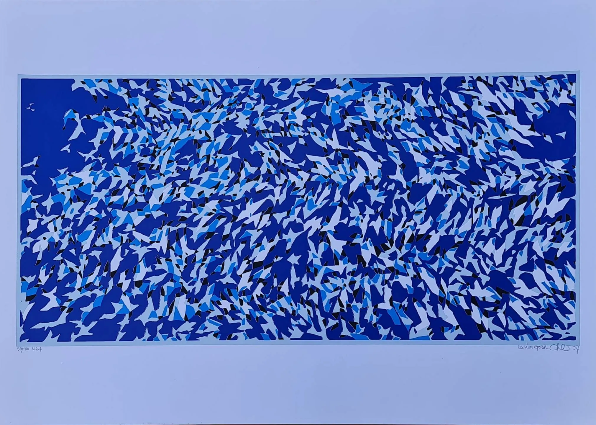 "Uçuş" eseri DEVRİM ERBİL tarafından 50x70 cm ölçülerinde Serigrafi - Edisyon: 50/100 tekniği ile yapılmıştır.