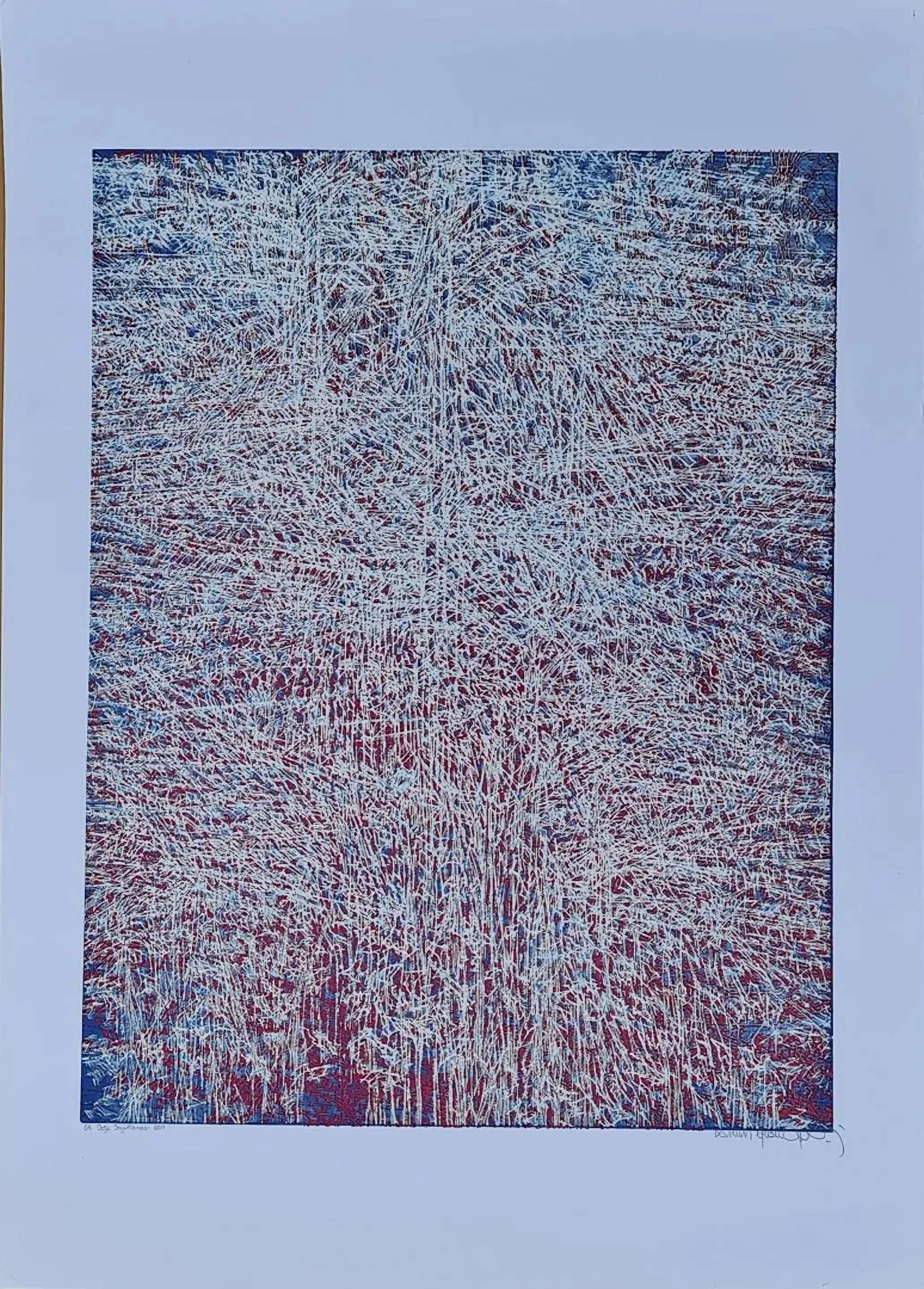 "Doğa Soyutlaması" eseri DEVRİM ERBİL tarafından 2011 yılında 70x50 cm ölçülerinde Serigrafi - Edisyon: EA tekniği ile yapılmıştır.