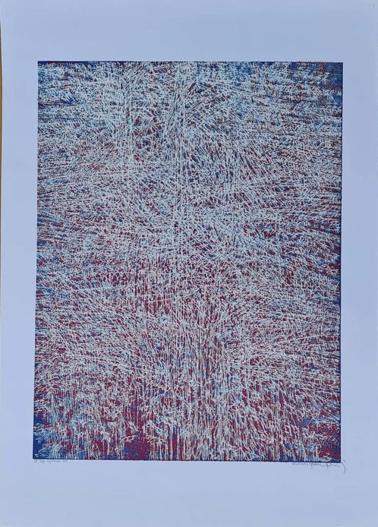 "Doğa Soyutlaması" eseri DEVRİM ERBİL tarafından 2011 yılında 70x50 cm ölçülerinde Serigrafi - Edisyon: EA tekniği ile yapılmıştır.
