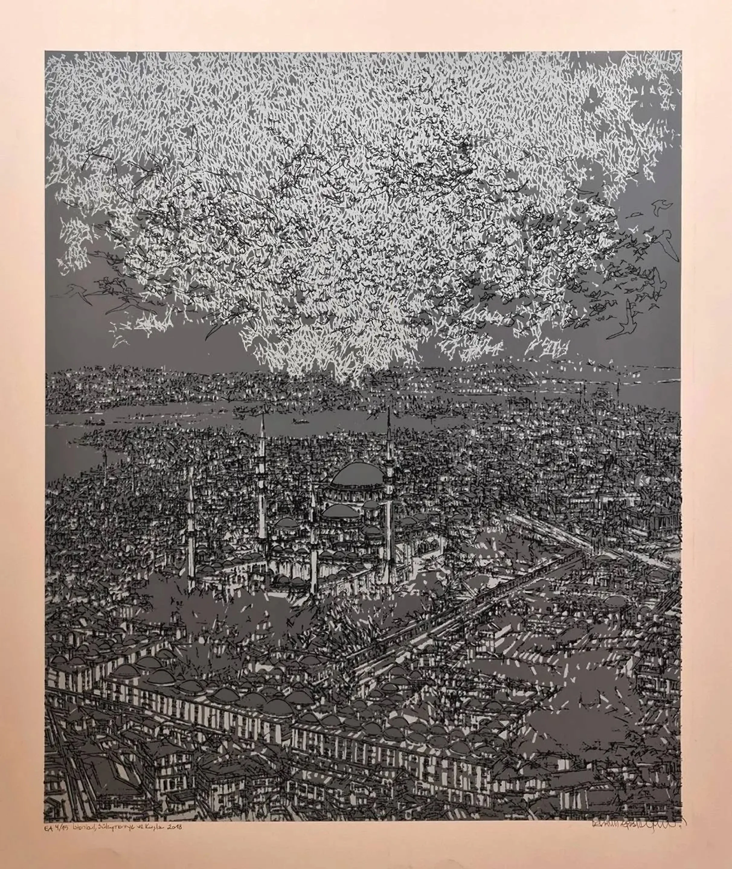 "İstanbul; Süleymaniye ve Kuşlar" eseri DEVRİM ERBİL tarafından 2018 yılında 80x70 cm ölçülerinde Serigrafi EA 4//15 tekniği ile yapılmıştır.