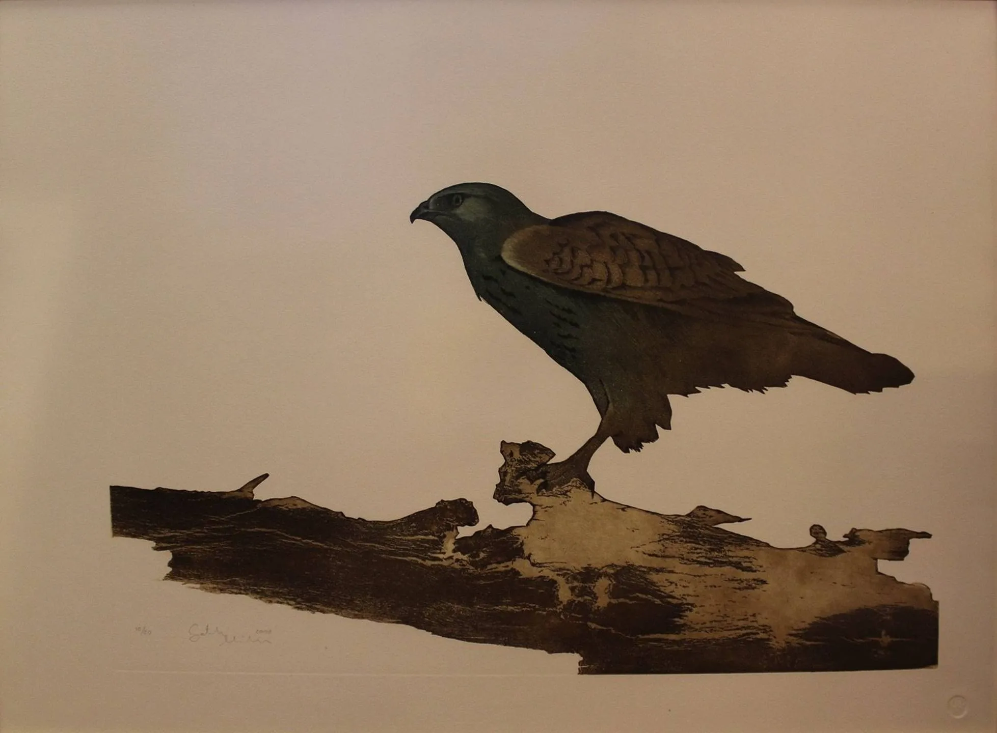"isimsiz" eseri FATİH MİKA tarafından 2008 yılında 48x64 cm ölçülerinde Gravür 10//50 tekniği ile yapılmıştır.