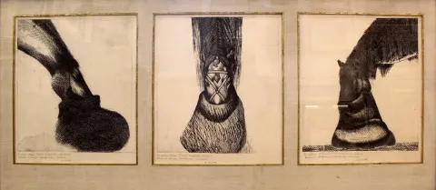 "At Portresi" eseri ORHAN PEKER tarafından 32x35 cm ölçülerinde Baskı 3 Lü tekniği ile yapılmıştır.