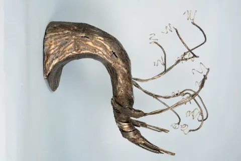 BAHADIR YAVUZ AYDIN — “Fruits of a burnt tree”, 2022 "Fruits of a burnt tree" eseri BAHADIR YAVUZ AYDIN tarafından 2022 yılında 60x60x30 cm ölçülerinde Kaynak ve metal tekniği ile yapılmıştır.