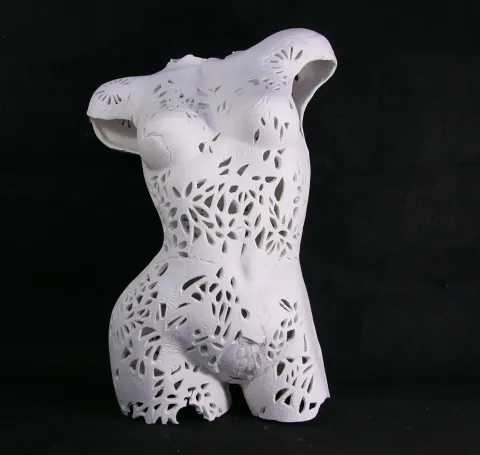 MİNE POYRAZ — “Fiore - I”, 2026 "Fiore - I" eseri MİNE POYRAZ tarafından 2026 yılında 60x30x25 cm ölçülerinde Seramik Ajur Tekniği tekniği ile yapılmıştır.
