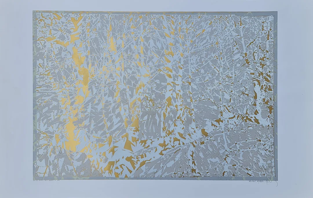 "Şiirsel Doğa Yorumu - A." eseri DEVRİM ERBİL tarafından 2011 yılında 59x93 cm ölçülerinde Serigrafi tekniği ile yapılmıştır.