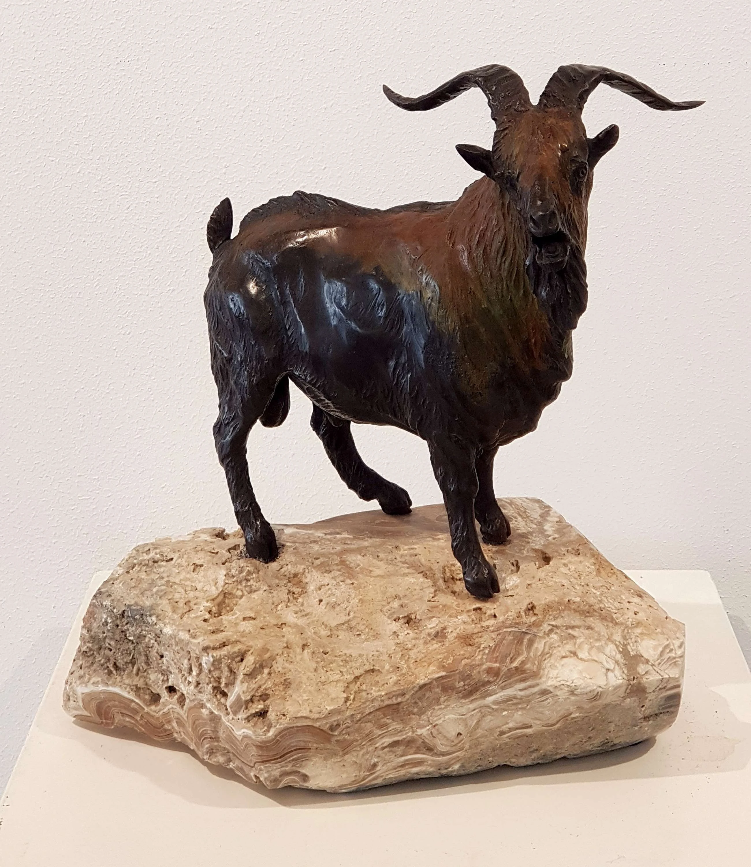 "Keçi" eseri ALEXANDER DAVİDOV tarafından 2017 yılında 39x34x25 cm ölçülerinde Bronz Heykel tekniği ile yapılmıştır.