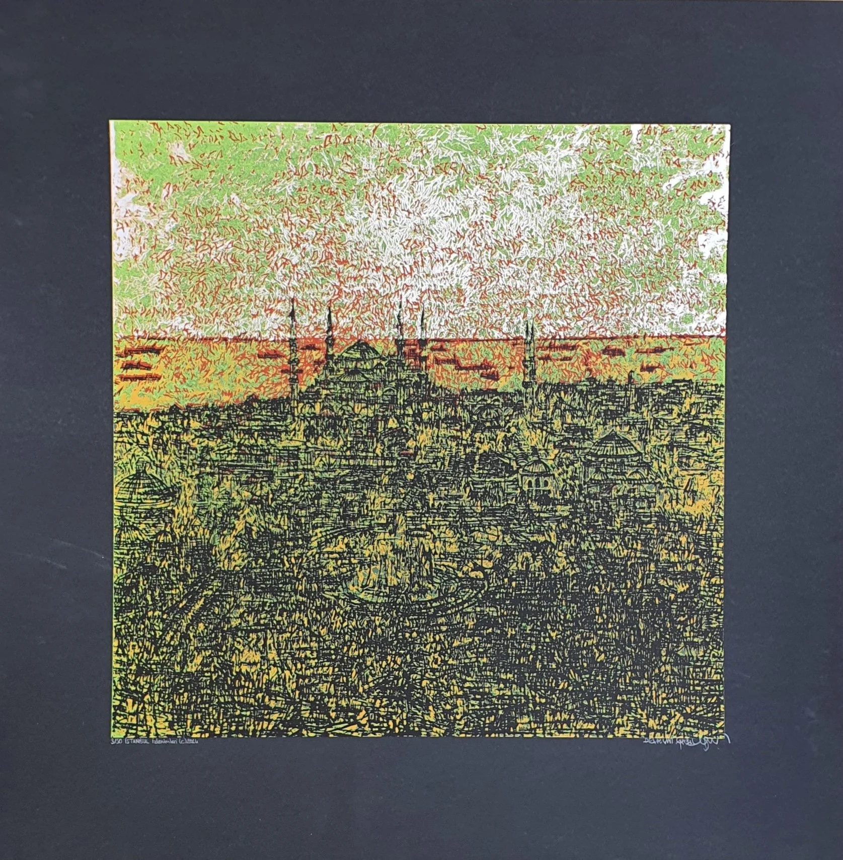 "İstanbul İzlenimleri" eseri DEVRİM ERBİL tarafından 2014 yılında 70x70 cm ölçülerinde Serigrafi tekniği ile yapılmıştır.