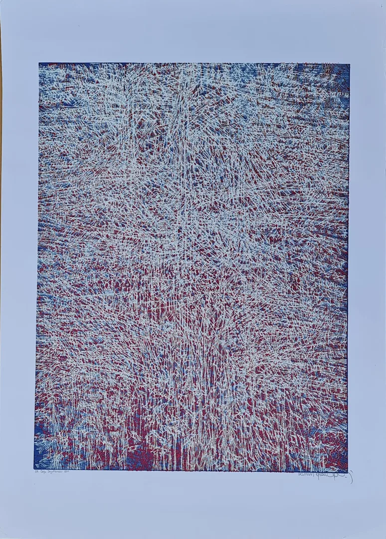 "Doğa Soyutlaması" eseri DEVRİM ERBİL tarafından 2011 yılında 70x50 cm ölçülerinde Serigrafi tekniği ile yapılmıştır.