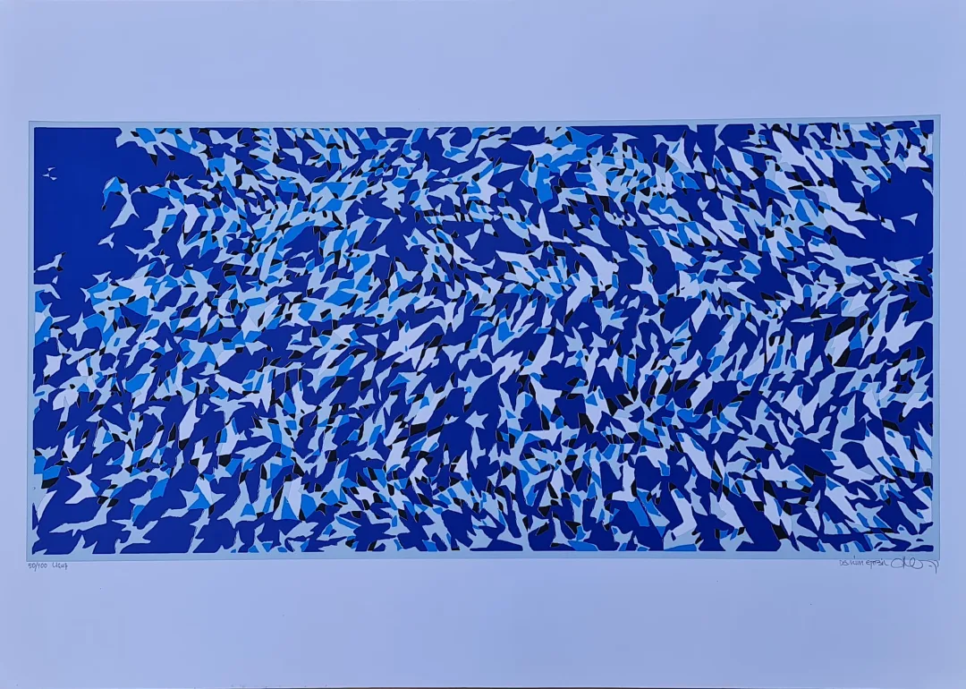 "Uçuş" eseri DEVRİM ERBİL tarafından 50x70 cm ölçülerinde Serigrafi tekniği ile yapılmıştır.