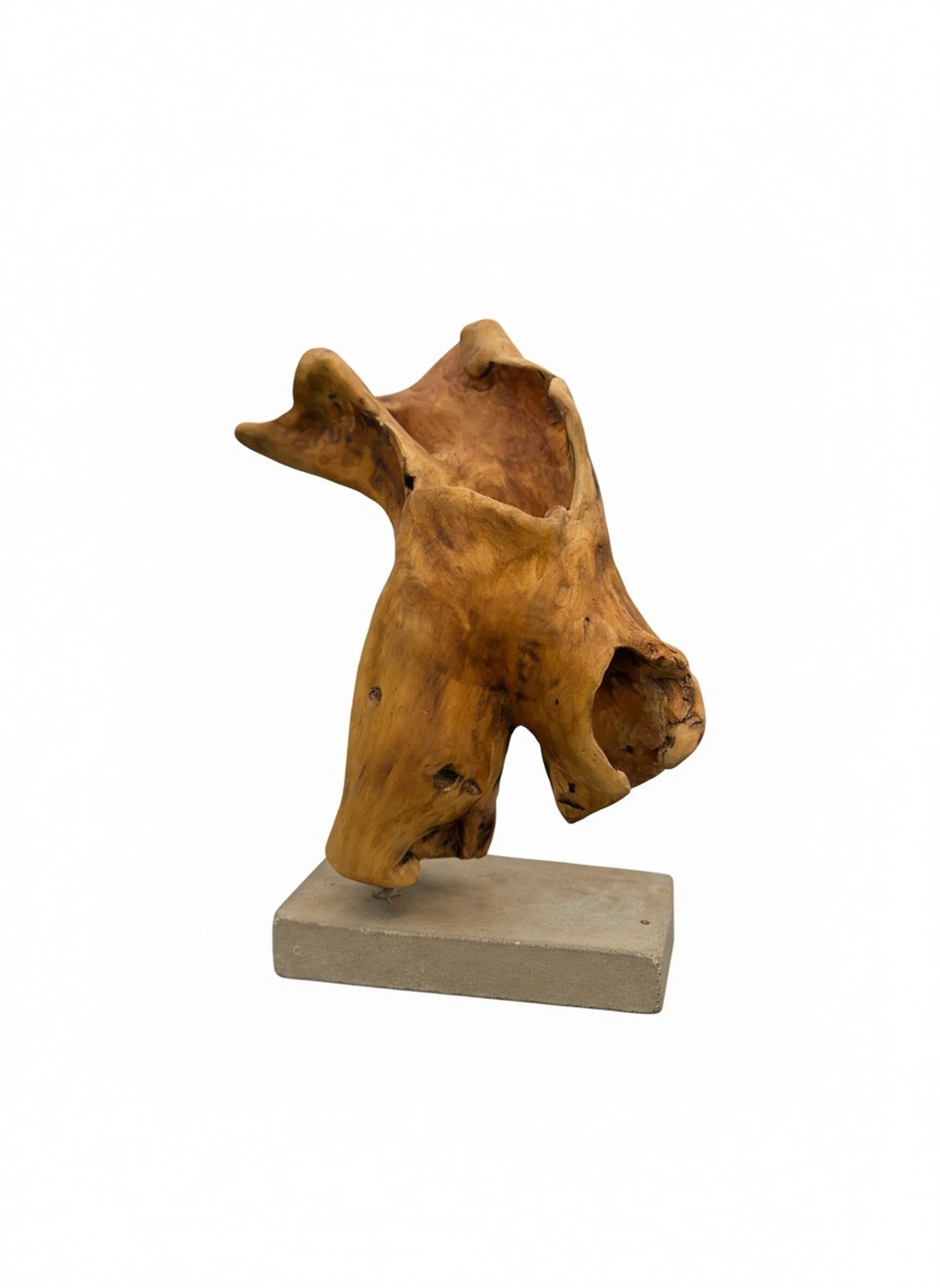 "Tors" eseri GÜVEN ATEŞ tarafından 2025 yılında 70x45x25 cm ölçülerinde Ahşap heykel - Söğüt ağacı tekniği ile yapılmıştır.