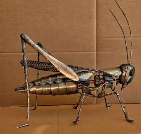 ÖZER AKTAŞ — “Çekirge”, 2026 "Çekirge" eseri ÖZER AKTAŞ tarafından 2026 yılında 41x45x28 cm ölçülerinde Metal tekniği ile yapılmıştır.