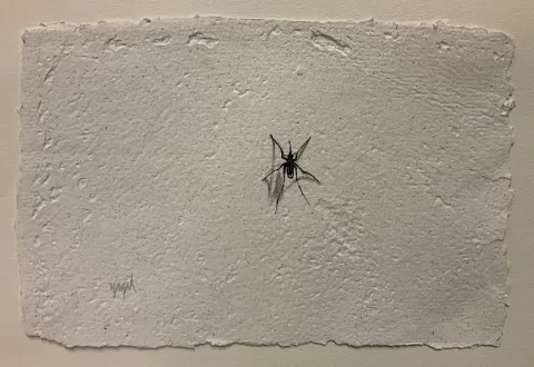 "Sivri-2" eseri YİĞİT ALTIPARMAKOĞULLARI tarafından 2026 yılında 15x23 cm ölçülerinde Kağıt üzeri mürekkepli kalem tekniği ile yapılmıştır.