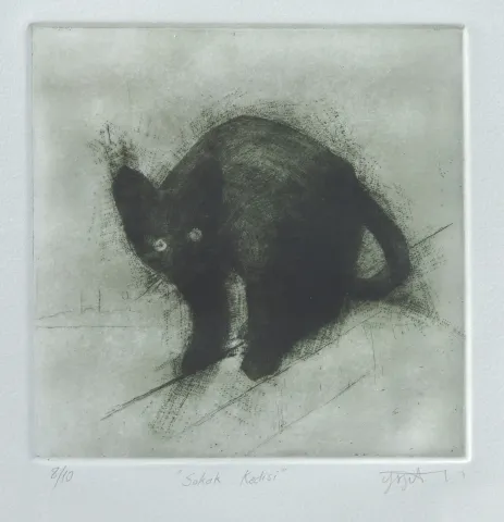 "Sokak Kedisi" eseri YİĞİT ALTIPARMAKOĞULLARI tarafından 2011 yılında 17x17 cm ölçülerinde Gravür tekniği ile yapılmıştır.
