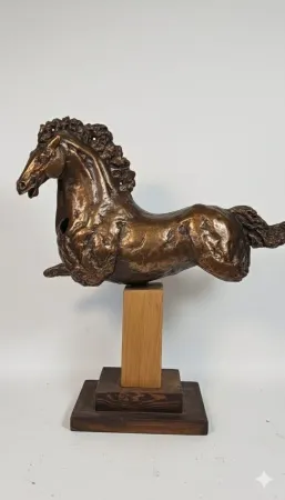 CEM GÜNEY ÇEVİKBAŞ tarafından 2026 yılında 40x30x12 cm ölçülerinde Polyester, demir tozu tekniği ile yapılmıştır.