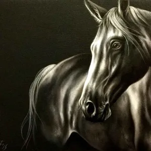 BEHZAT FEYZULLAH tarafından 2016 yılında 30x80 cm ölçülerinde Tuval üzeri yağlı boya tekniği ile yapılmıştır.