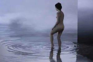 EVREN OĞUZBALABAN tarafından 2012 yılında 140x200 cm ölçülerinde Tuval üzeri yağlı boya tekniği ile yapılmıştır.