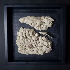 ELİF NURAN YAŞAROL tarafından 2023 yılında 26x26x8 cm ölçülerinde Seramik, Elle Şekillendirme tekniği ile yapılmıştır.