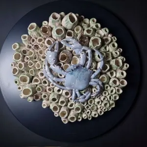 ELİF NURAN YAŞAROL tarafından 2025 yılında 46x46 cm ölçülerinde Seramik, Elle Şekillendirme tekniği ile yapılmıştır.