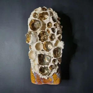 ELİF NURAN YAŞAROL tarafından 2025 yılında 28x15x11 cm ölçülerinde Seramik, Elle Şekillendirme tekniği ile yapılmıştır.