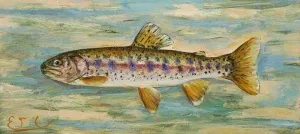 EMRE BAYKAL tarafından yapılmıştır.