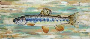 EMRE BAYKAL tarafından yapılmıştır.