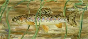 EMRE BAYKAL tarafından yapılmıştır.