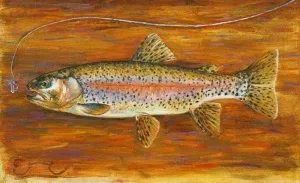 EMRE BAYKAL tarafından yapılmıştır.