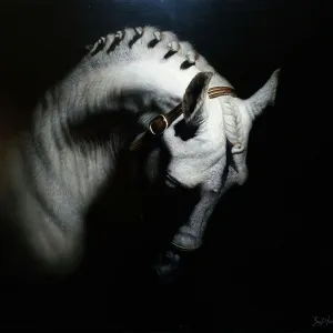 EVREN SARPTUNALI tarafından 2020 yılında 110x110 cm ölçülerinde Tuval üzeri yağlı boya tekniği ile yapılmıştır.