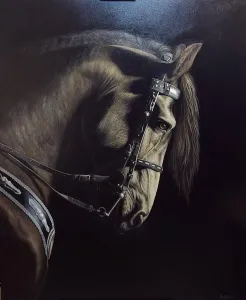 EVREN SARPTUNALI tarafından Tuval üzeri yağlı boya tekniği ile yapılmıştır.