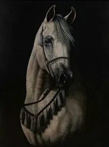 EVREN SARPTUNALI tarafından Tuval üzeri yağlı boya tekniği ile yapılmıştır.