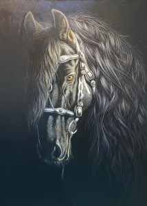 EVREN SARPTUNALI tarafından Tuval üzeri yağlı boya tekniği ile yapılmıştır.