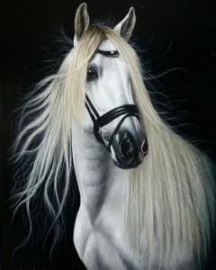 EVREN SARPTUNALI tarafından Tuval üzeri yağlı boya tekniği ile yapılmıştır.