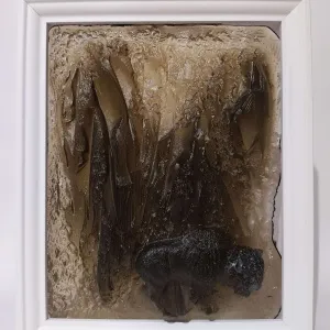 MURAT PAKTUR tarafından 2021 yılında 28x23 cm ölçülerinde Kalıpla Şekillendirme tekniği ile yapılmıştır.