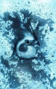 FATİH MİKA tarafından yapılmıştır.