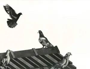 FATİH MİKA tarafından yapılmıştır.