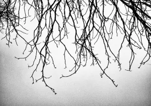 SEDA DİNÇAY tarafından 60x90 cm ölçülerinde Dijital baskı tekniği ile yapılmıştır.