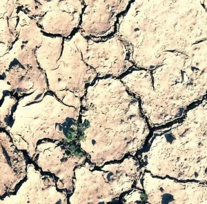 SEDA DİNÇAY tarafından 60x60 cm ölçülerinde Dijital baskı tekniği ile yapılmıştır.