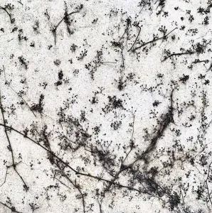 SEDA DİNÇAY tarafından 25x25 cm ölçülerinde Dijital baskı üzeri karışık teknik tekniği ile yapılmıştır.