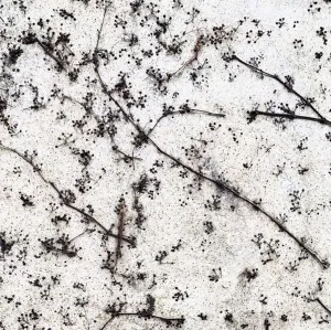 SEDA DİNÇAY tarafından 25x25 cm ölçülerinde Dijital baskı üzeri karışık teknik tekniği ile yapılmıştır.