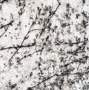 SEDA DİNÇAY tarafından 25x25 cm ölçülerinde Dijital baskı üzeri karışık teknik tekniği ile yapılmıştır.