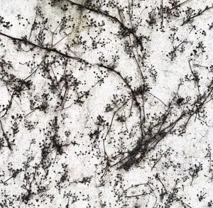 SEDA DİNÇAY tarafından 25x25 cm ölçülerinde Dijital baskı üzeri karışık teknik tekniği ile yapılmıştır.