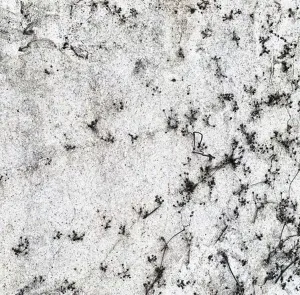 SEDA DİNÇAY tarafından 25x25 cm ölçülerinde Dijital baskı üzeri karışık teknik tekniği ile yapılmıştır.