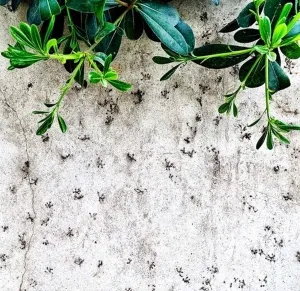 SEDA DİNÇAY tarafından 60x60 cm ölçülerinde Dijital baskı tekniği ile yapılmıştır.