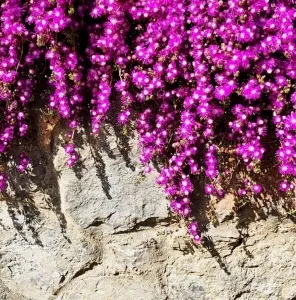 SEDA DİNÇAY tarafından 60x60 cm ölçülerinde Dijital baskı tekniği ile yapılmıştır.