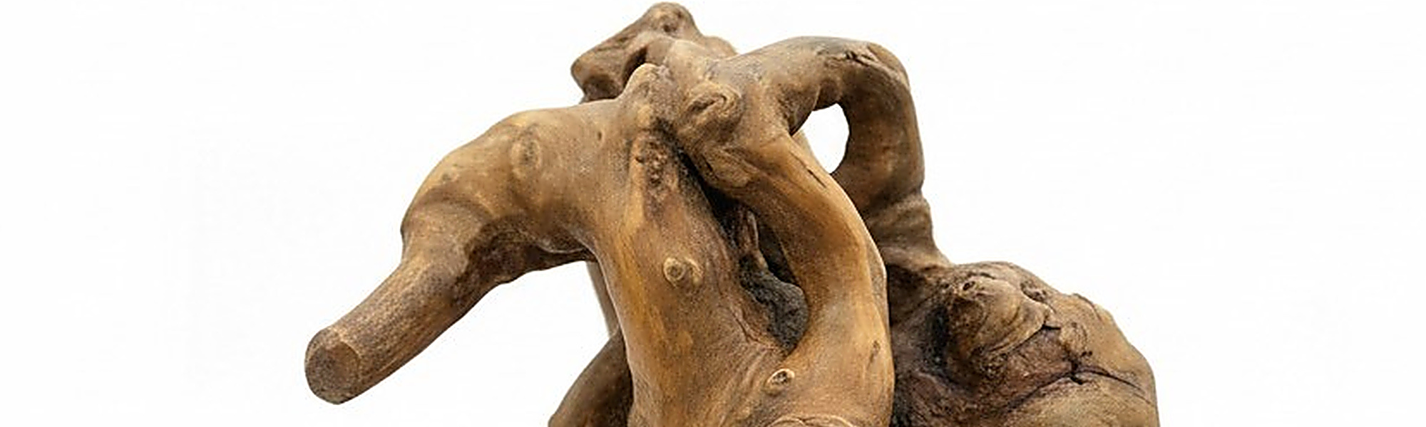 GÜVEN ATEŞ sergisi — Galeri Soyut