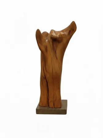 GÜVEN ATEŞ tarafından 2022 yılında 50x20x20 cm ölçülerinde Ahşap heykel - Kayısı ağacı tekniği ile yapılmıştır.