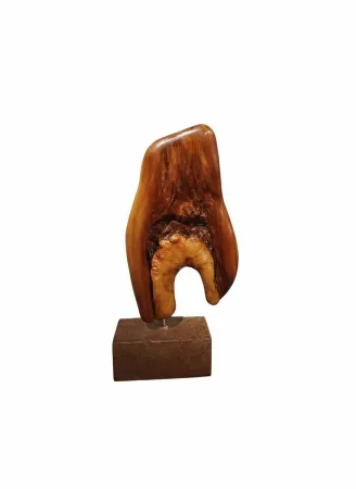 GÜVEN ATEŞ tarafından 2023 yılında 50x20x10 cm ölçülerinde Ahşap heykel - Elma ağacı tekniği ile yapılmıştır.